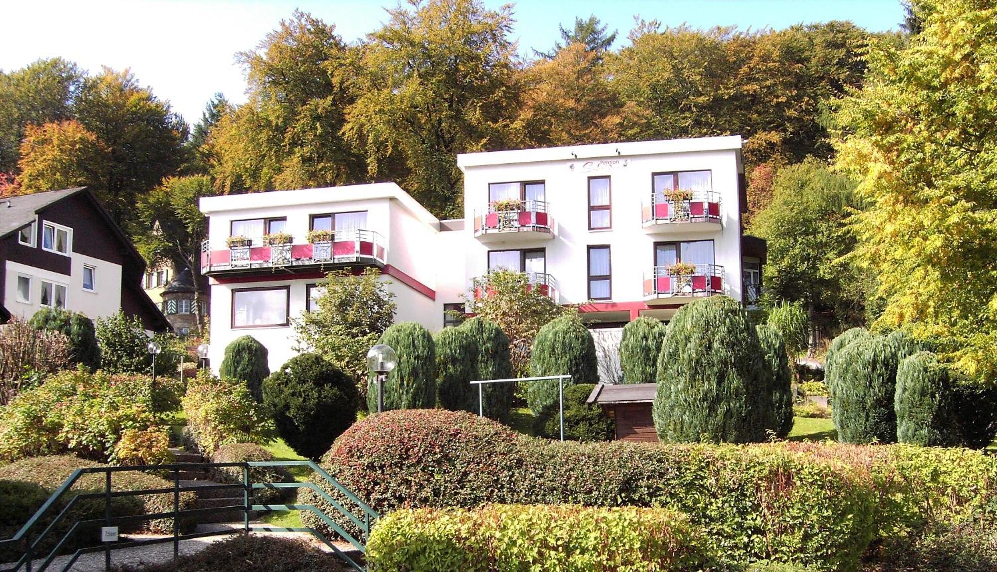Hotelpension Schroeder Willingen  Esterno foto